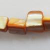 Shell beads,Nugget 5-11mm Sold per16-inch strand