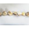 Shell beads,Nugget 12-21mm Sold per16-inch strand