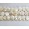 Round,Mother of Pearl Shell Beads,10mm,Sold per16-inch strand