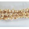 Chips,Mother of Pearl Shell Beads,10-17mm,Sold per16-inch strand