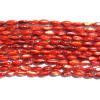 Shell Beads,Oval 10x5mm Sold per 16-inch strand