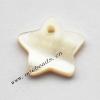 Shell Pendant Star 13mm Sold by Bag