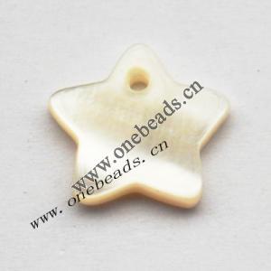Shell Pendant Star 13mm Sold by Bag
