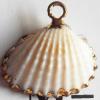 Jewelry Finding, shell Pendant 18x13mm Sold by PC