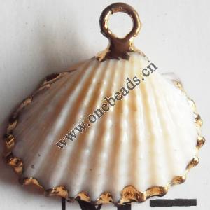 Jewelry Finding, shell Pendant 18x13mm Sold by PC