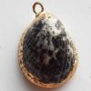 Jewelry Finding, shell Pendant 17x22mm Sold by PC