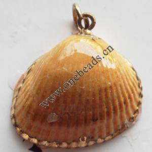 Jewelry Finding, shell Pendant 18x24mm Sold by PC