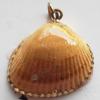 Jewelry Finding, shell Pendant 18x24mm Sold by PC