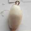 Jewelry Finding, shell Pendant 11x22mm Sold by PC
