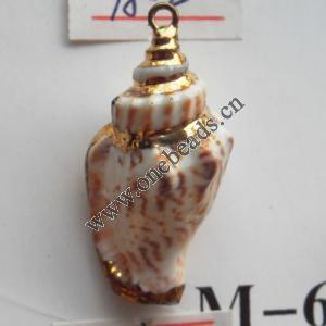 Jewelry Finding, shell Pendant 17x31mm Sold by PC