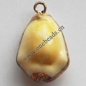 Jewelry Finding, shell Pendant 15x19mm Sold by PC