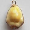Jewelry Finding, shell Pendant 15x19mm Sold by PC