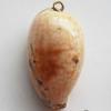 Jewelry Finding, shell Pendant 18x34mm Sold by PC