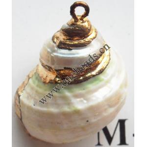 Jewelry Finding, shell Pendant 24x23mm Sold by PC