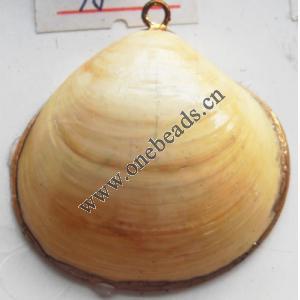 Jewelry Finding, shell Pendant 36x33mm Sold by PC