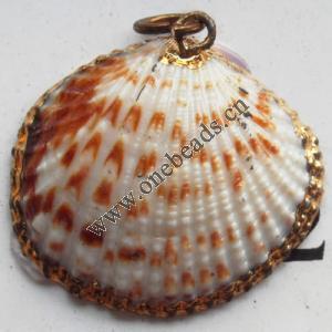 Jewelry Finding, shell Pendant 27x25mm Sold by PC