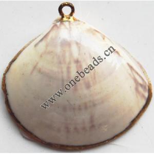 Jewelry Finding, shell Pendant 33x28mm Sold by PC