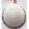 Jewelry Finding, shell Pendant 31x32mm Sold by PC