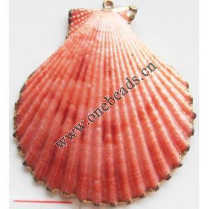 Jewelry Finding, shell Pendant 50x55mm Sold by PC