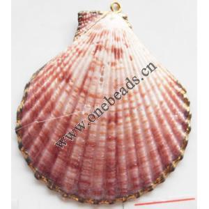 Jewelry Finding, shell Pendant 47x53mm Sold by PC
