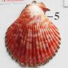 Jewelry Finding, shell Pendant 40x45mm Sold by PC