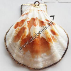Jewelry Finding, shell Pendant 44x46mm Sold by PC