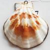 Jewelry Finding, shell Pendant 44x46mm Sold by PC