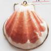 Jewelry Finding, shell Pendant 41x43mm Sold by PC