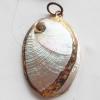 Jewelry Finding, shell Pendant 21x31mm Sold by PC
