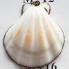 Jewelry Finding, shell Pendant 42x47mm Sold by PC