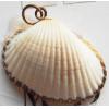 Jewelry Finding, shell Pendant 30x24mm Sold by PC