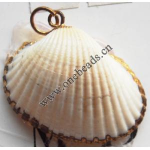 Jewelry Finding, shell Pendant 30x24mm Sold by PC