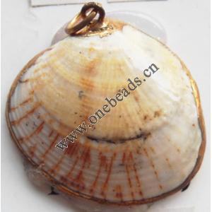 Jewelry Finding, shell Pendant 28x31mm Sold by PC