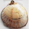Jewelry Finding, shell Pendant 28x31mm Sold by PC