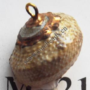 Jewelry Finding, shell Pendant 18x19mm Sold by PC
