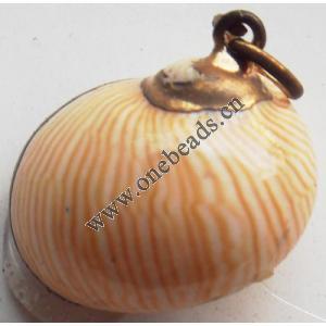 Jewelry Finding, shell Pendant 19x15mm Sold by PC