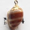 Jewelry Finding, shell Pendant 13x19mm Sold by PC