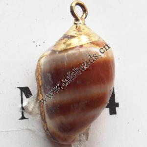 Jewelry Finding, shell Pendant 13x19mm Sold by PC
