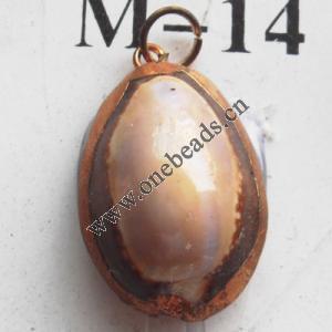 Jewelry Finding, shell Pendant 17x24mm Sold by PC
