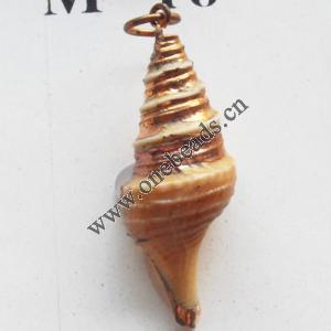 Jewelry Finding, shell Pendant 14x34mm Sold by PC