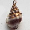 Jewelry Finding, shell Pendant 16x23mm Sold by PC