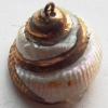Jewelry Finding, shell Pendant 22x23mm Sold by PC