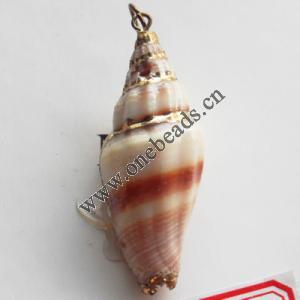 Jewelry Finding, shell Pendant 17x42mm Sold by PC