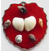 Jewelry Finding, shell Pendant 62x67mm Sold by PC