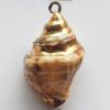 Jewelry Finding, shell Pendant 17x28mm Sold by PC