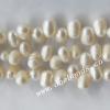 Rice Shape Freshwater Pearl Beads, 5-6mm Sold per 15-inch Strand