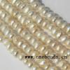 Button Shape Freshwater Pearl Beads, 4mm Sold per 15-inch Strands