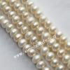 Button Shape Freshwater Pearl Beads, 7-8mm Sold per 15-inch Strands