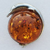 Imitate Amber Pendant With Metal Alloy Set, Animal 56x45x18mm, Sold by Bag 