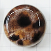 Imitate Animal skins Acrylic Beads, Painted Spray-paint, Flat Round 22mm Hole:2mm, Sold by Bag